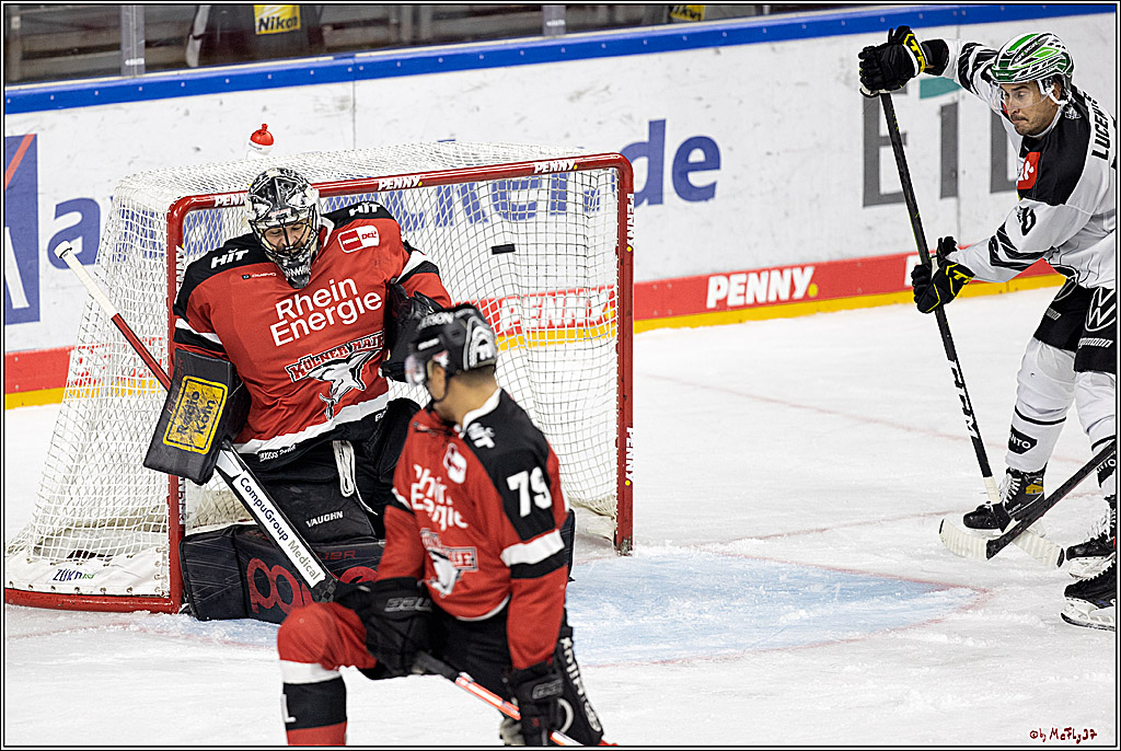 PENNY DEL;  Koelner Haie - Krefeld Pinguine; Koeln, 31.10.2021